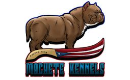 Machete Kennels